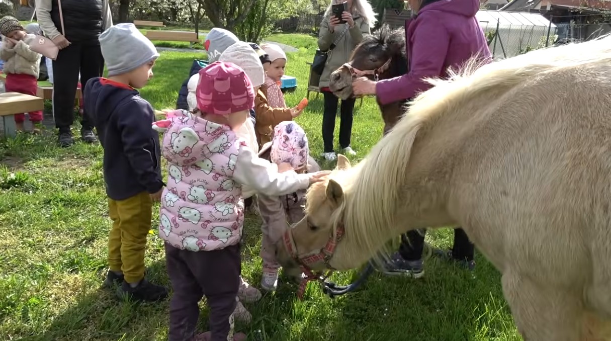 Zprávy 15.5.2026 Zprávy 15.5.2026