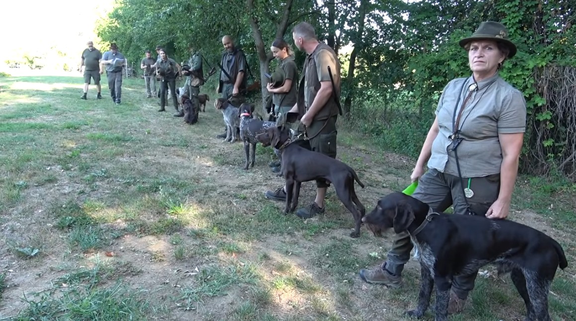 Zprávy 28.8.2026